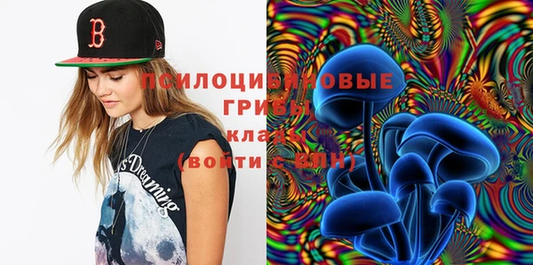 PSILOCYBIN Кулебаки