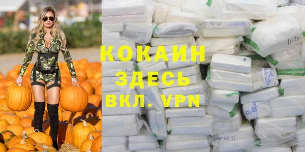 МДПВ Абаза