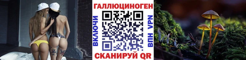 Псилоцибиновые грибы GOLDEN TEACHER  купить   Комсомольск-на-Амуре 